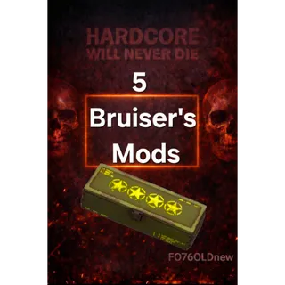 5 Bruiser's Mods
