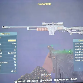 NW Scoped Combat Rifle