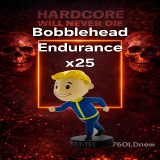 25x Endurance Bobblehead