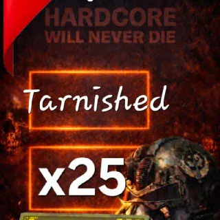 25x Tarnished Mod