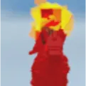 oxpeker headless horse