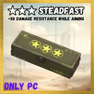 Steadfast Legendary Mod