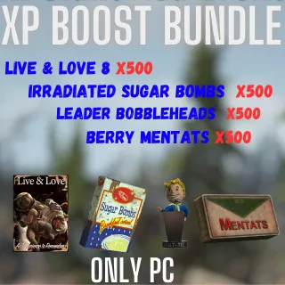 XP BOOST BUNDLE 4X500 (ONLY PC)