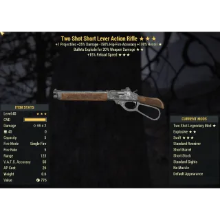 Lever Action Rifle TS/E/15R