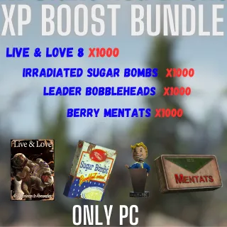 XP BOOST BUNDLE 4X1000 (ONLY PC)