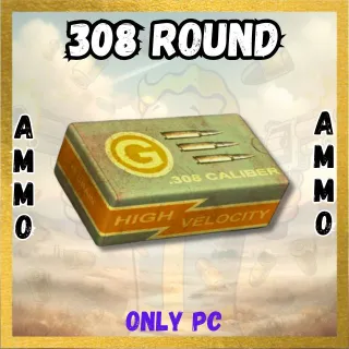 .308 ROUND 100000