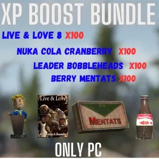 XP BOOST BUNDLE 4X100 (ONLY PC)