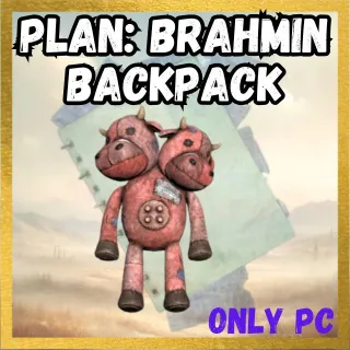 Plan: Brahmin Backpack