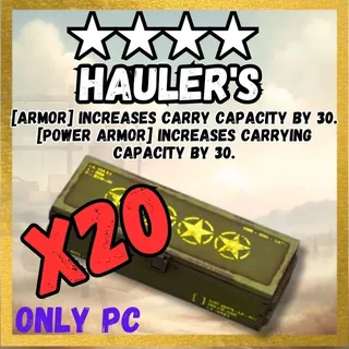 X20 Hauler's Legendary mod