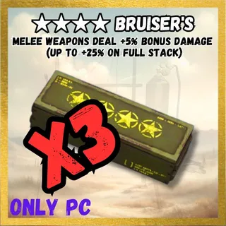X3 Bruiser's Legendary Mod