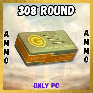 .308 ROUND 100000