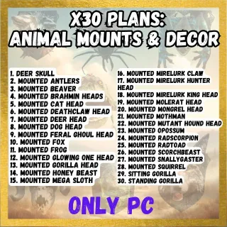 30 Animal Mounts & Decor Plans
