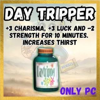 X200 Day Tripper