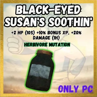 X50 Black-Eyed Susan's Soothin'