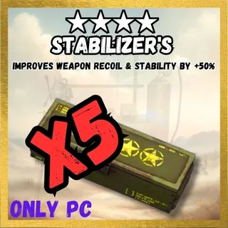 X5 Stabilizer's Legendary mod
