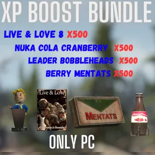 XP BOOST BUNDLE 4X500 (ONLY PC)