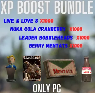 XP BOOST BUNDLE 4X1000 (ONLY PC)