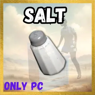 X500 Salt