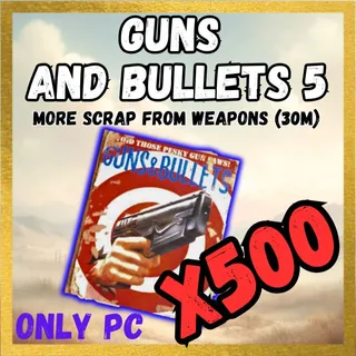 X500 Guns  and Bullets 5 Magazine
