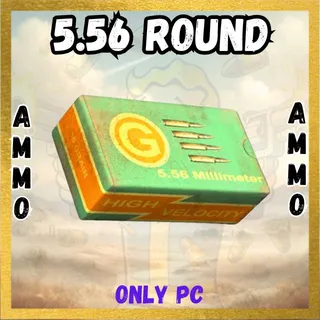 5.56 ROUND 25000