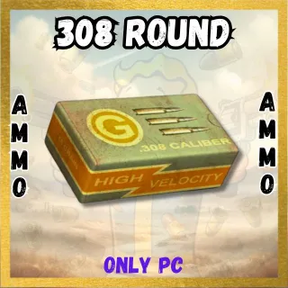 .308 ROUND 100000