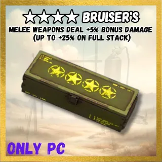 Bruiser's Legendary Mod