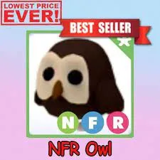 nfr owl - Adopt Me Game Items - Gameflip