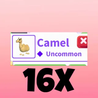 camel 16x
