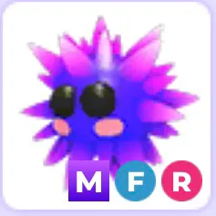 MFR Urchin