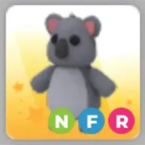 NFR Koala