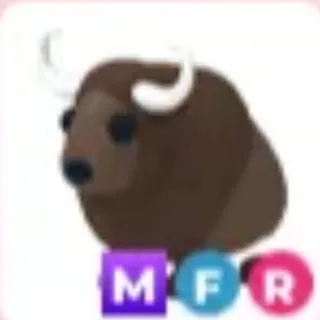 MFR Buffalo
