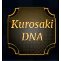 Kurosaki DNA / Paradox