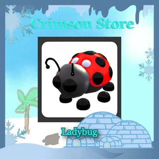 x4 Ladybug #1