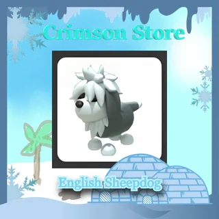English Sheepdog #1