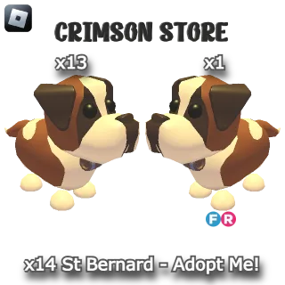 x14 St Bernard - Adopt Me!
