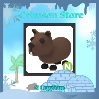 N Capybara #1