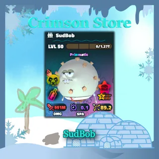 CLEAN 5 Stars SudBob