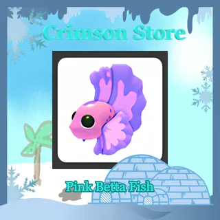 x3 Pink Betta Fish