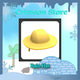 Rain Hat