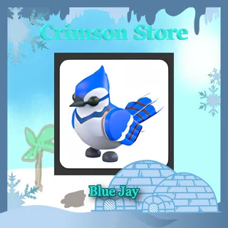 5 Blue Jay