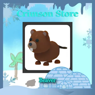 x4 Beaver #1
