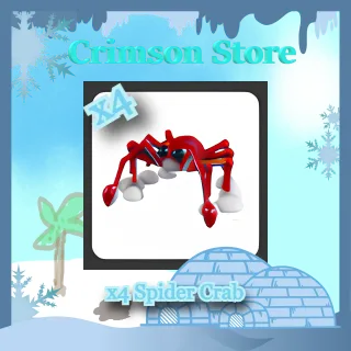 x4 Spider Crab