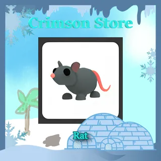 x2 Rat #1