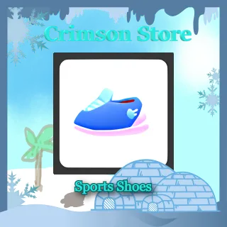 Sports Shoes