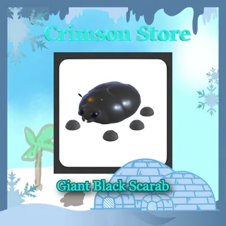Giant Black Scarab #1
