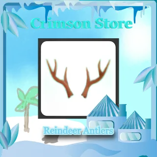 Reindeer Antlers