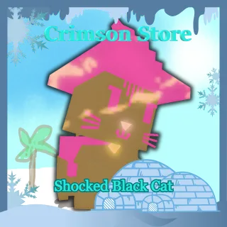 Shocked Black Cat - Grow a Garden