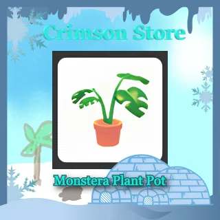 Monstera Plant Pot