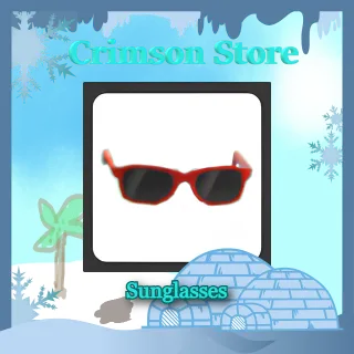 Sunglasses