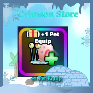 +1 Pet Equip